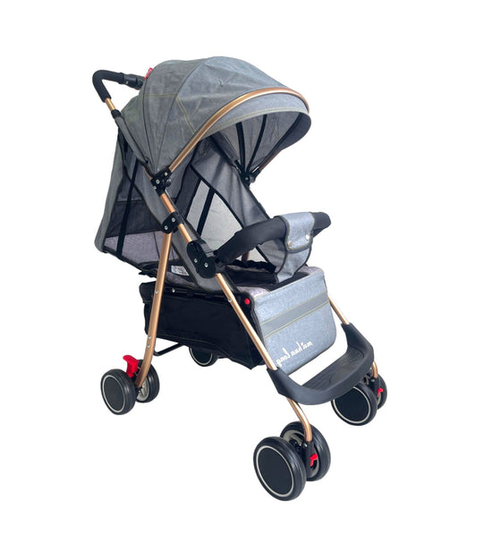 Baby Foldable Buggy Push Stroller-BZ-T608GF